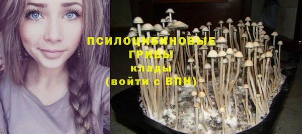 марки lsd Богородицк