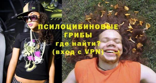дживик Балахна