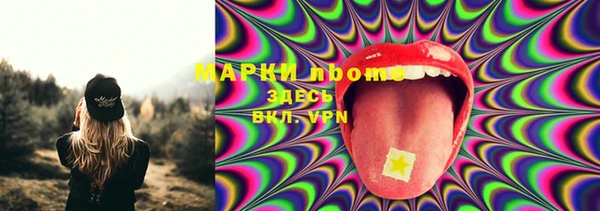 СК Богородск