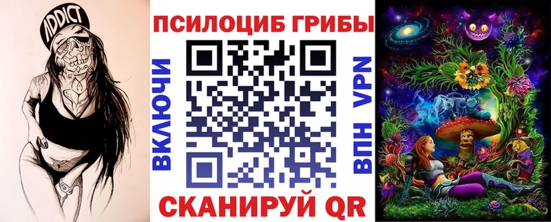 Псилоцибиновые грибы мицелий Катав-Ивановск